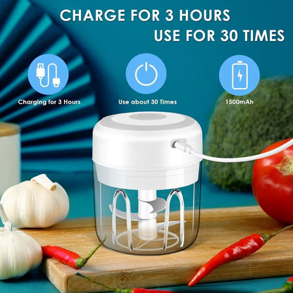 Mini Electric Chopper